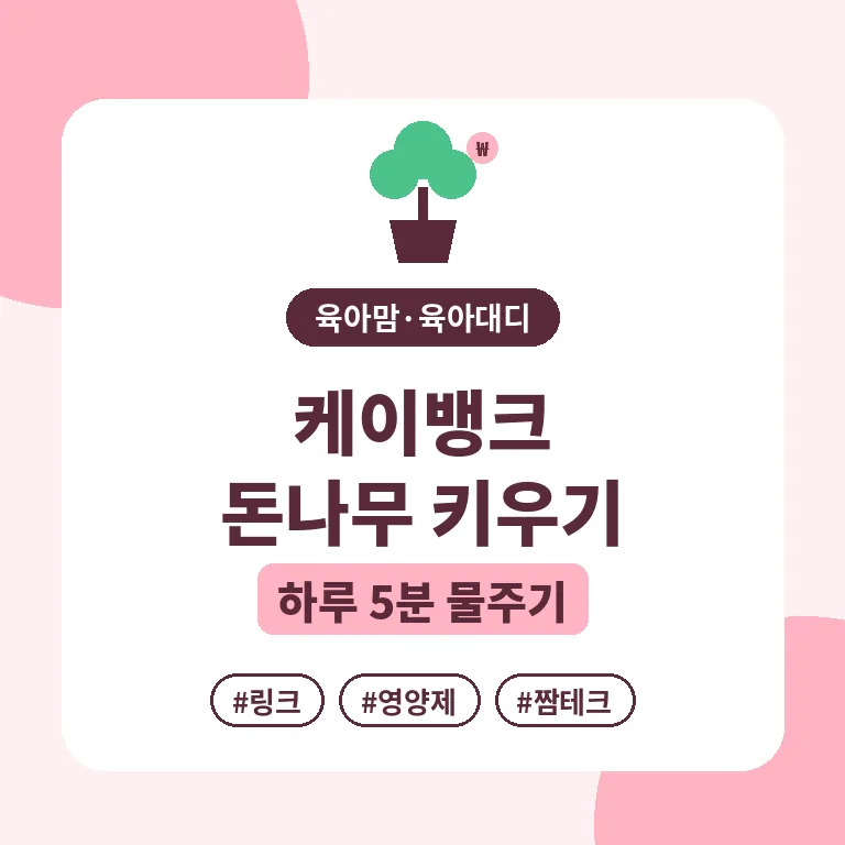 케이뱅크 돈나무 키우기 링크